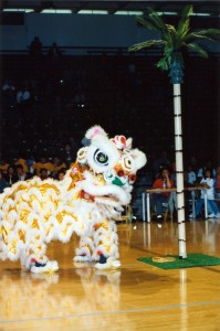 03 - Lion Dance Tournament